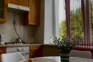 Квартира Babylon Apartments On Soborna 2rooms. Апартаменты двухместный  9